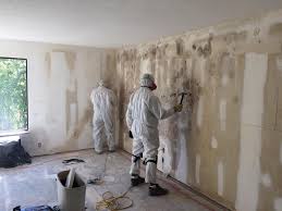 Best Biohazard Mold Removal  in Colon, MI